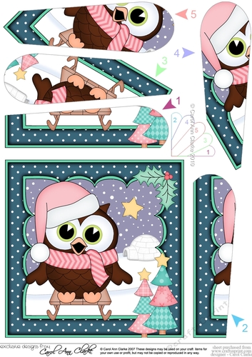 Christmas Little Hoot Owl is Sledging Fan Pyramage Topper