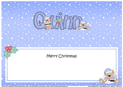 Large DL Merry Christmas QUINN insert
