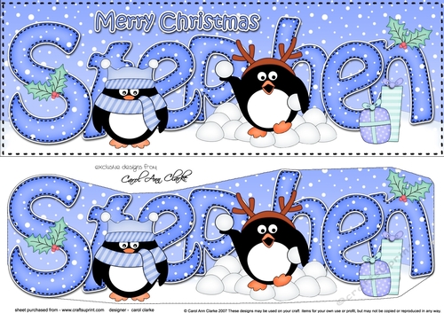 Large DL Merry Christmas STEPHEN 3D decoupage 