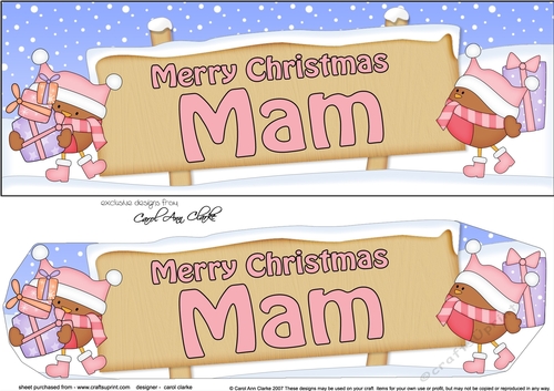 Large DL Merry Christmas MAM with Robins 3D decoupage
