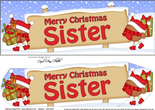 Large DL Merry Christmas SISTER with Robins 3D decoupage