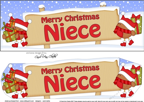 Large DL Merry Christmas NIECE with Robins 3D decoupage
