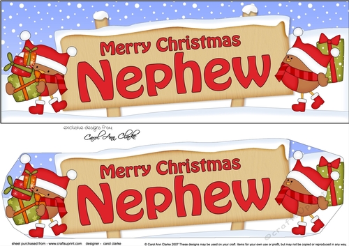 Large DL Merry Christmas NEPHEW with Robins 3D decoupage