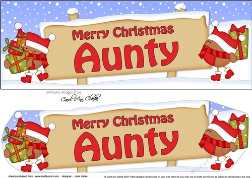 Large DL Merry Christmas AUNTY with Robins 3D decoupage