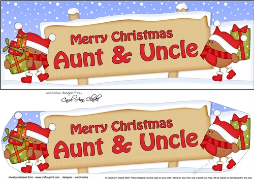 Large DL Merry Christmas AUNT & UNCLE with Robins 3D decoupage