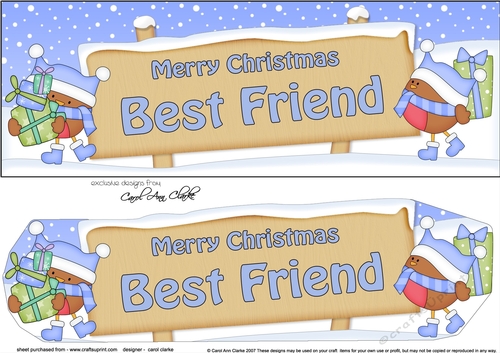 large DL Merry Christmas BEST FRIEND Robins 3D decoupage