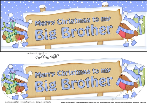 large DL Merry Christmas to my BIG BROTHER Robins 3D decoupage