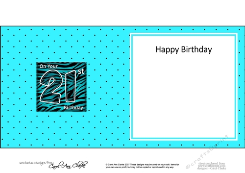 Fun Zebra Striped 21st Birthday square landscape insert