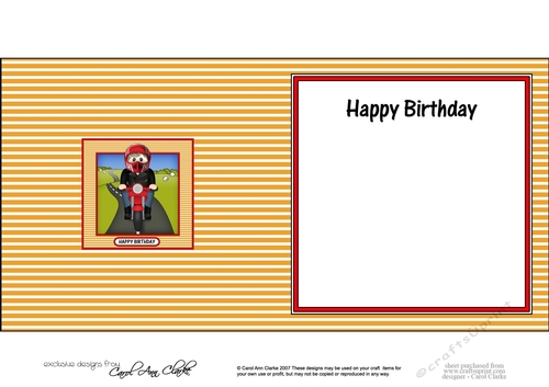 Square Landscape Insert -  Motorbike Rider
