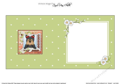 Square landscape insert - Through the Window - Cute Little Yorkie Dog