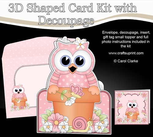 3D Shaped Card  Kit - Flowerpot Friends - Cute Little Hoot Owl