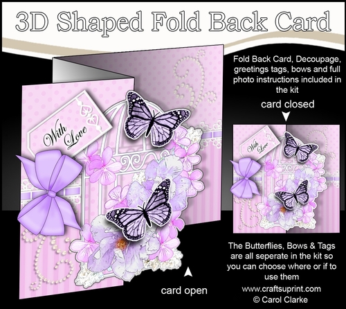 3D Shaped No-Hole Fold Back Mini Kit - Birdcage, Flowers Butterflies & Lace
