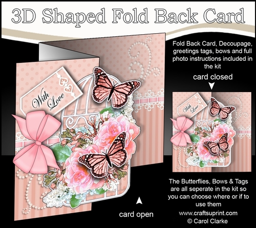 3D Shaped No-Hole Fold Back Mini Kit - Birdcage, Roses Butterflies & Lace