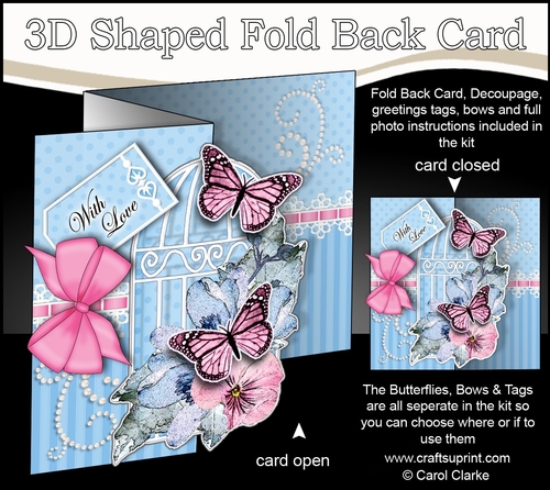 3D Shaped No-Hole Fold Back Mini Kit - Birdcage, Pretty Floral Butterflies & Lace 