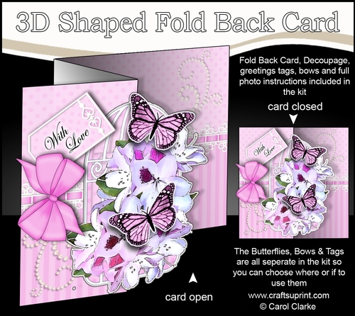 3D Shaped No-Hole Fold Back Mini Kit - Birdcage, Pretty Flowers Butterflies & Lace 