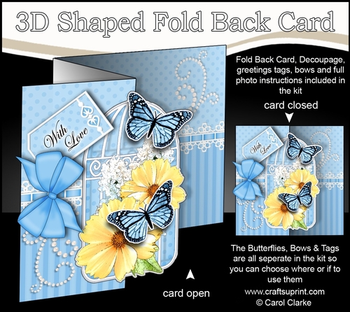 3D Shaped No-Hole Fold Back Mini Kit - Birdcage, Butterfly Bouquet & Lace 