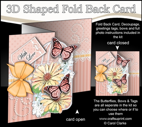 3D Shaped No-Hole Fold Back Mini Kit - Birdcage, Butterflies Flowers & Lace 