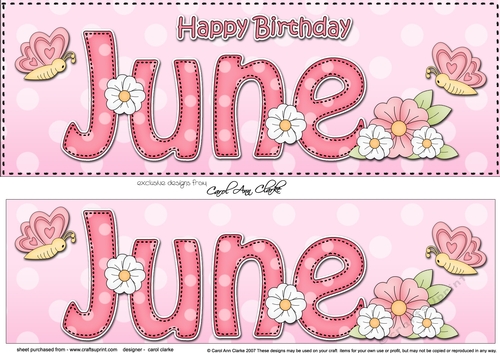 Large DL Happy Birthday JUNE 3D decoupage
