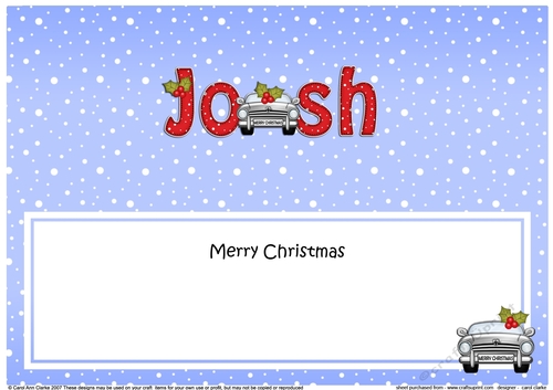 Large DL Merry Christmas JOSH insert