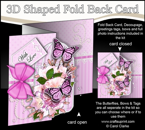 3D Shaped No-Hole Fold Back Mini Kit - Birdcage, Pretty in Pink, Butterflies & Lace  