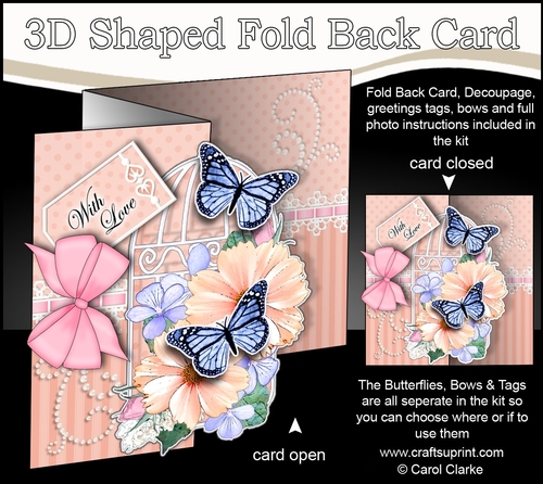 3D Shaped No-Hole Fold Back Mini Kit - Birdcage, Pretty Floral Bouquet, Butterflies & Lace 