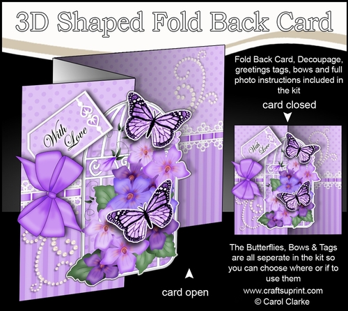 3D Shaped No-Hole Fold Back Mini Kit - Birdcage, Pretty Violas Butterflies & Lace 