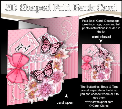 3D Shaped No-Hole Fold Back Mini Kit - Birdcage, Pretty Astrantia Flowers Butterflies & Lace 