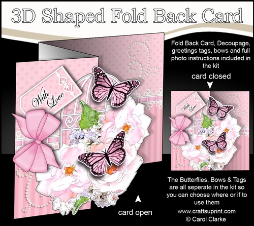 3D Shaped No-Hole Fold Back Mini Kit - Birdcage, Rose Bouquet, Butterflies & Lace 