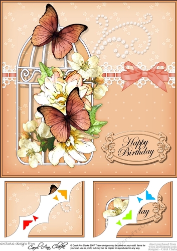 8 x 8 Birthday Butterflies and Flowers Birdcage Scalloped Corner Topper 
