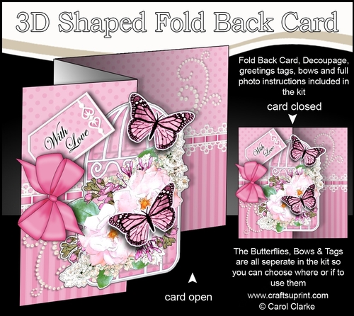 3D Shaped No-Hole Fold Back Mini Kit - Birdcage, Summer Bouquet, Butterflies & Lace 