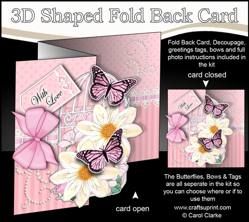 3D Shaped No-Hole Fold Back Mini Kit - Birdcage, Dahlia Flowers Butterflies & Lace