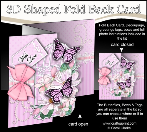 3D Shaped No-Hole Fold Back Mini Kit - Birdcage, Butterfly Bouquet Flowers & Lace 