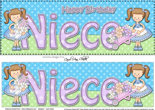 Large DL Happy Birthday NIECE 3D decoupage