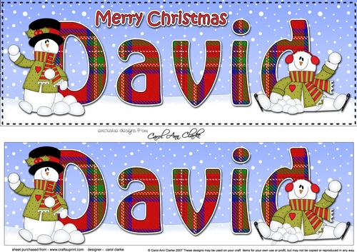Large DL Merry Christmas DAVID 3D decoupage 