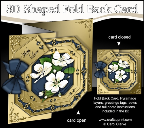 3D Shaped No-Hole Fold Back Pretty Floral Card with Pyramage Mini Kit  -  Apple Blossom