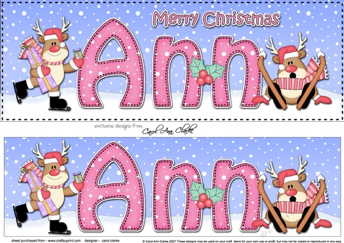 Large DL Merry Christmas ANN 3D decoupage 