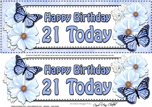 Large DL Happy Birthday 21 TODAY Floral Butterflies 3D decoupage
