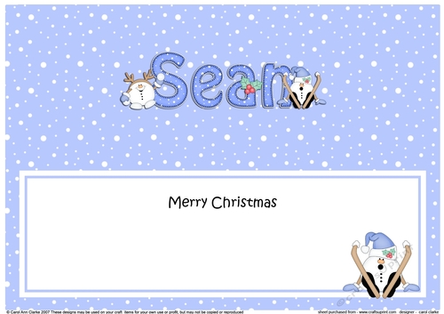 Large DL Merry Christmas SEAN insert