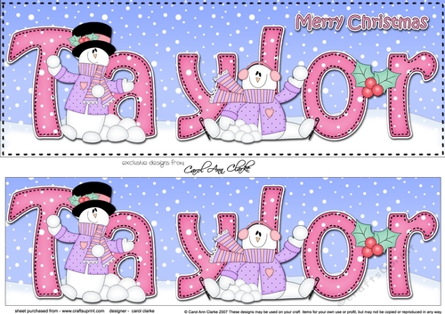 Large DL Merry Christmas TAYLOR 3D decoupage 