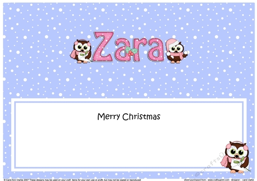 Large DL Merry Christmas ZARA insert