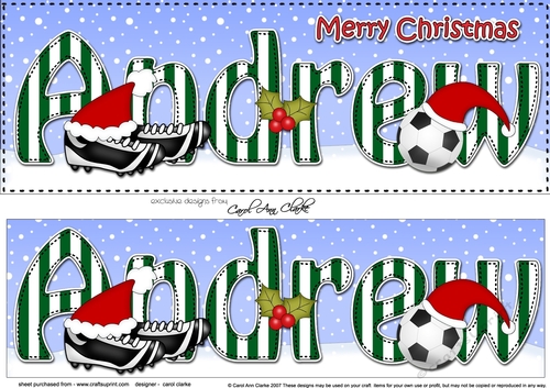 Large DL Merry Christmas ANDREW 3D decoupage 