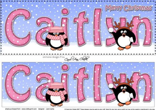 Large DL Merry Christmas CAITLYN 3D decoupage 