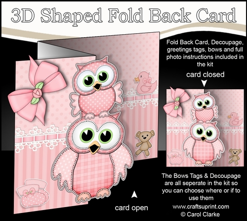 3D Shaped No-Hole Fold Back Mini Kit -   New Baby Girl Little Hoot Owls