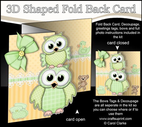 3D Shaped No-Hole Fold Back Mini Kit -   New Baby Little Hoot Owls