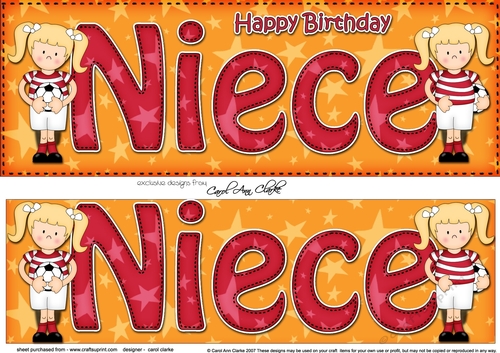Large DL Happy Birthday NIECE 3D decoupage