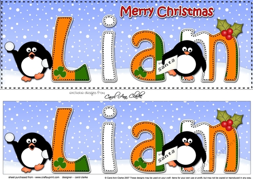 Large DL Merry Christmas LIAM 3D decoupage 