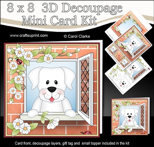 8 x 8 Mini Kit with 3d Decoupage - Through the Window - Little White Labrador Dog Dash