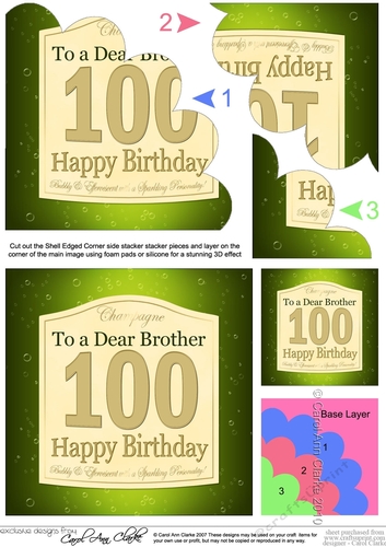 100th Birthday Brother Champagne Label Shell Edged Corner Side Stacker