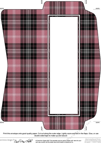 Mini DL (80 x 215mm) Tartan Plaid envelope