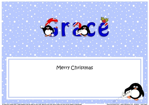 Large DL Merry Christmas GRACE insert